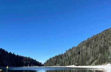 Les loups blancs - Foto 20