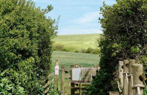 No14 Padstow - Foto 28