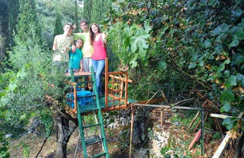 Πύργος Καπουλέα - Foto 40