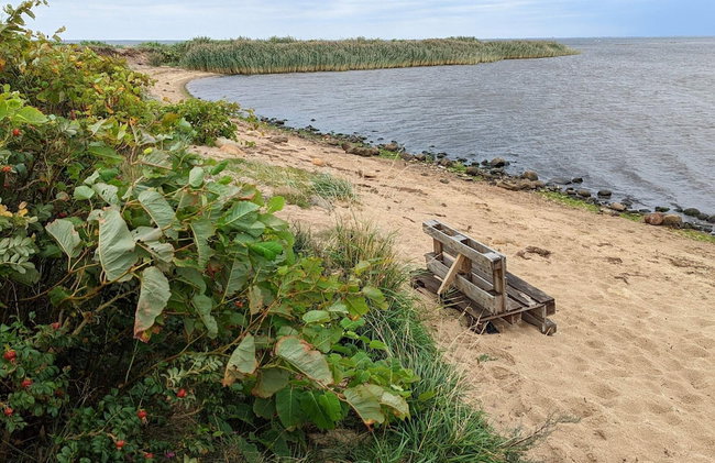 6 Person Holiday Home in Hemmet - Photo 34