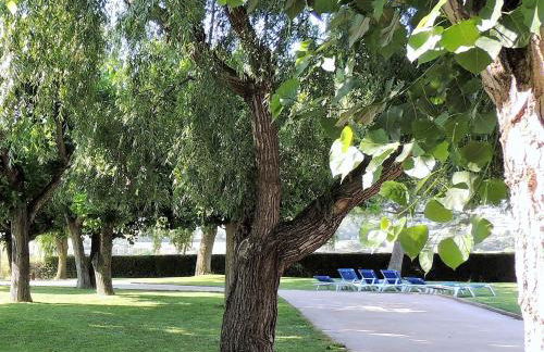 Camí de la Font - Foto 28