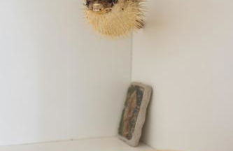 Platja Puig - Foto 47