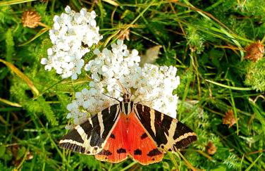 Apartament Cal Cinto - Foto 20