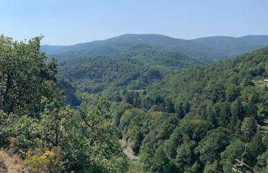 Ferienhaus Casa Toni mit Wallbox & Photovoltaik - Foto 35