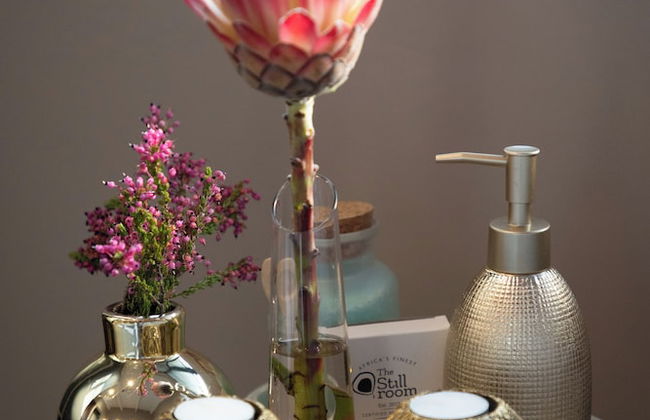 Marepe Mountain View - Photo 44