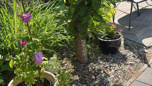 Girma-bierig Vacation Home - Foto 2