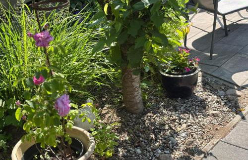 Girma-bierig Vacation Home - Foto 9