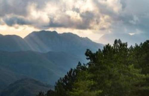 Castelvecchio Family Retreat - Foto 69