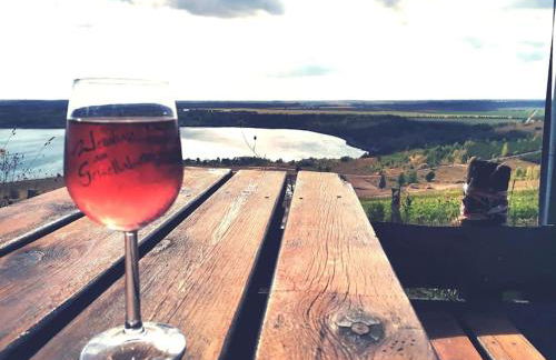 Zauberwagen am Geiseltalsee - Foto 16