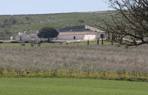 Masseria Torre Di Nebbia - Foto 9
