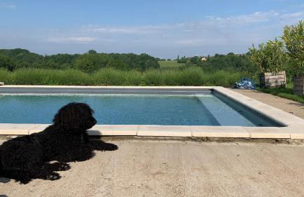 Ferme Redouline - 3 Bedroom, large private pool - Foto 6