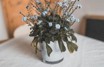 HAUSERHOF Chalet with Dolomite View - Foto 66