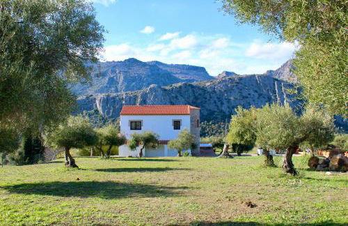 Apartamentos Cedro Alto - Photo 27