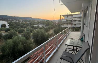 Blue Calm - Kalamos Seaside Studios - Foto 9