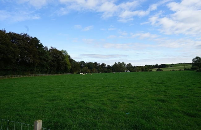 Shepherd's Hut @ Westcote - Foto 18