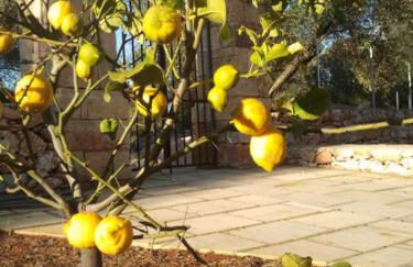 Tenuta Serre - Foto 30