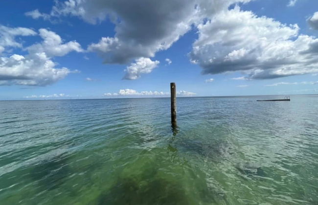 4 Person Holiday Home in Frorup - Photo 52