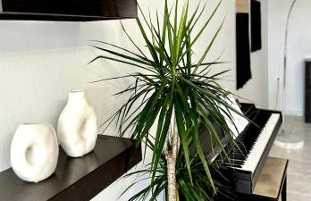 Mylos Ηome - Foto 32