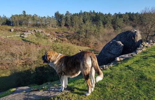 EL VIEJO MOLINO - Foto 45