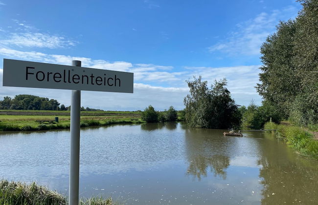 Ferienhaus in Hechthausen mit Terrasse - Foto 51