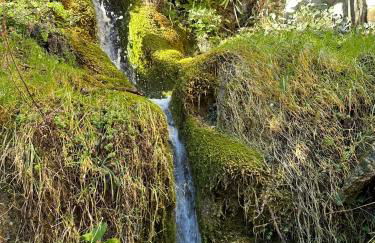 Alojamientos La Tercia - Foto 28