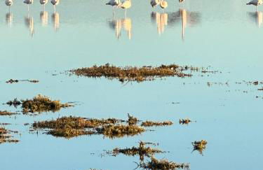 Casa Oristano Mare & Citta' bis - Foto 34
