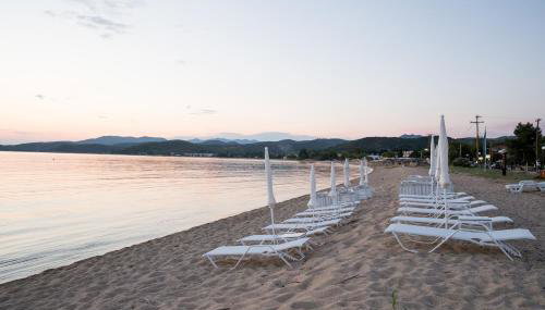 Eco Green Living - Foto 3