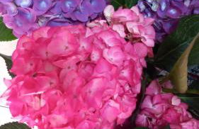 Villa Alba cerca de Sitges - Foto 53