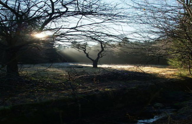 Heritage Villa With Home Cinema, Sauna - Foto 35