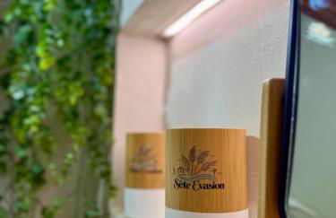 SETE EVASION Jardin, Parking privé gratuit, Climatisé, Wi-Fi, à 5mn plage, tout Confort - Foto 22