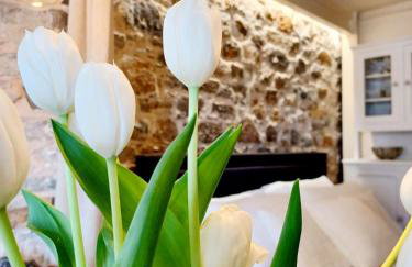 Angel's Suites - Photo 6