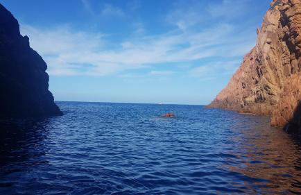 Villa Acqua Doria - Photo 69