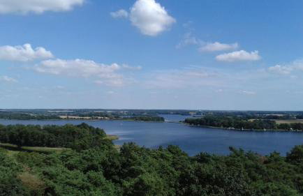 Apartment Kletterrose, Seenähe, Mecklenburgische Seenplatte - Foto 14