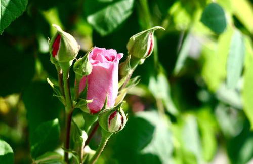 - Zuhause im Weilerblick - - Foto 15