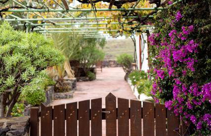 El Drago Rural House - Foto 14
