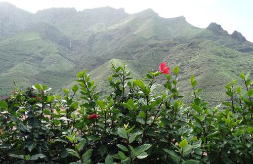 Los Veroles - Foto 51