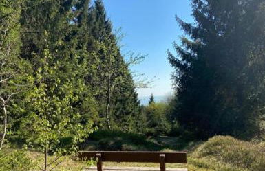 Ferienhaus Kleine Auszeit - Foto 67