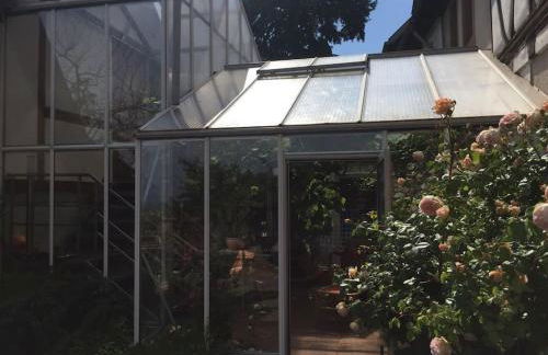 Traumblick Rebenmeer - Foto 9