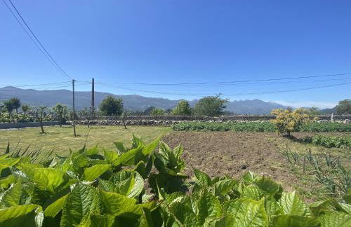 Finca Robejones VV-511-AS - Foto 11