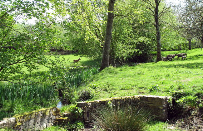 Au Verger Fleuri - Foto 16