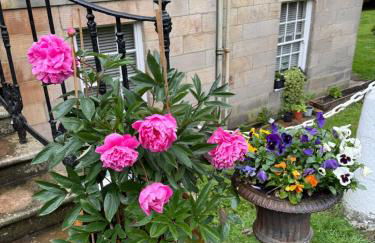 Limefield Mansion House - Foto 66