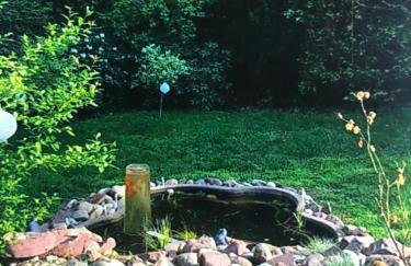 BaumbergIdyll - Foto 21