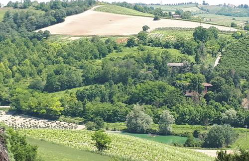 Cascina Tornara, ritorno alle origini monferrine - Foto 39