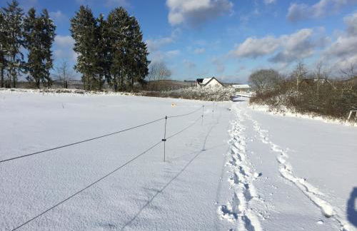 Panoramablick - Foto 29