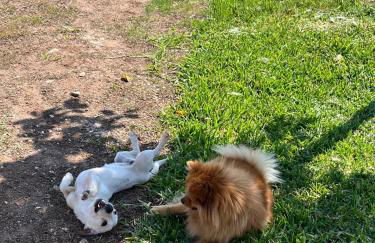 Masseria Causio - Foto 10