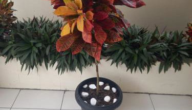 Espaço Itacoatiara - Foto 2, Garden