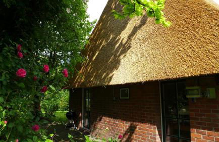 Haus Käthe am Deich - Foto 21