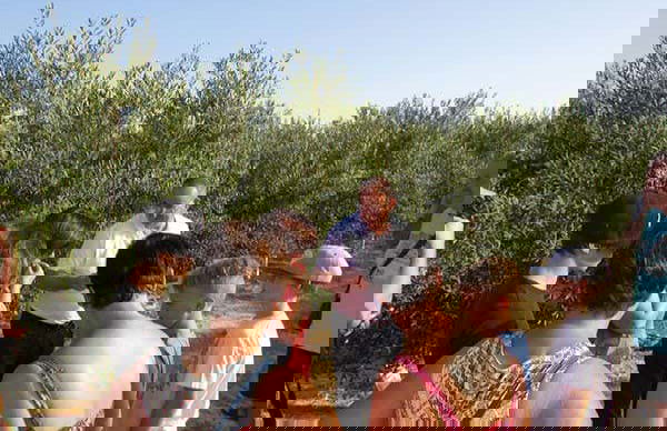 Visita a la finca Oleo Almanzora con degustación de aceite - Foto 3