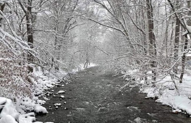 Cozy Creek Cottages - Foto 44