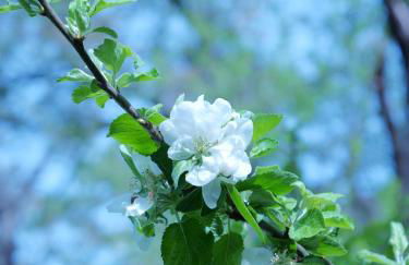 Apartment OTTO II - Erfurt Zentrum - Photo 26